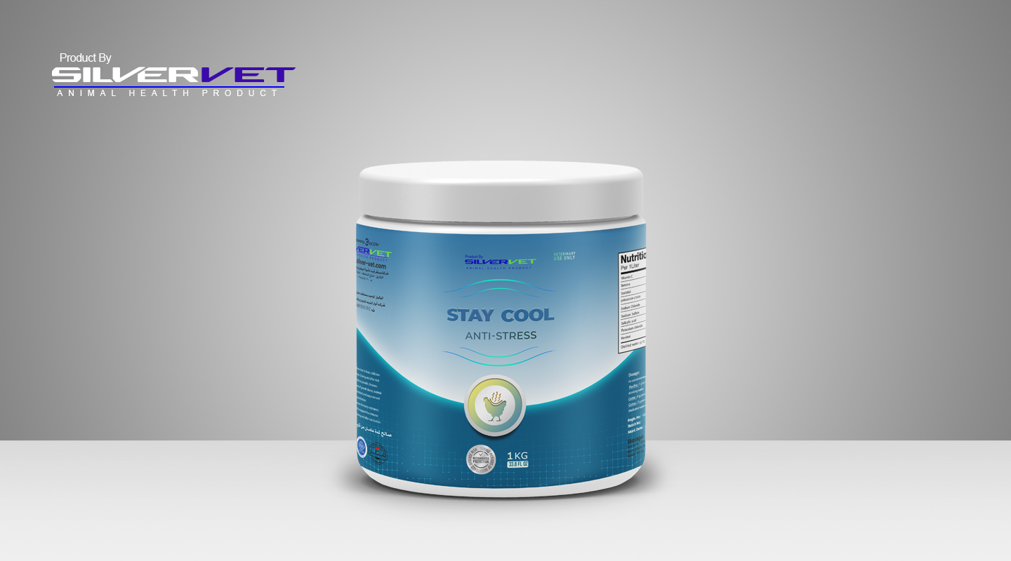 stay cool 1440×800 pixl