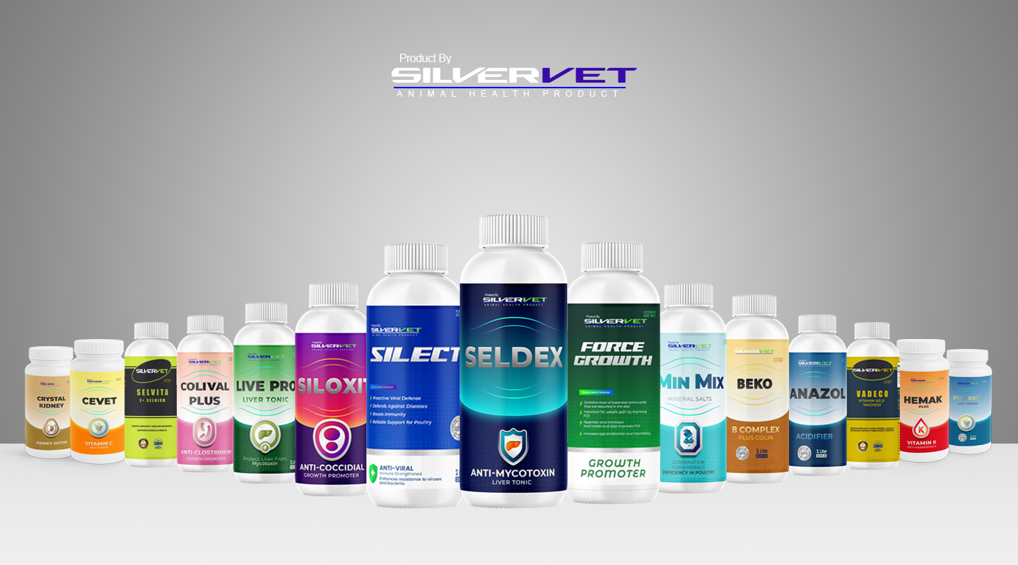 صوره مجمعه نهائى 1440×800 pixl31